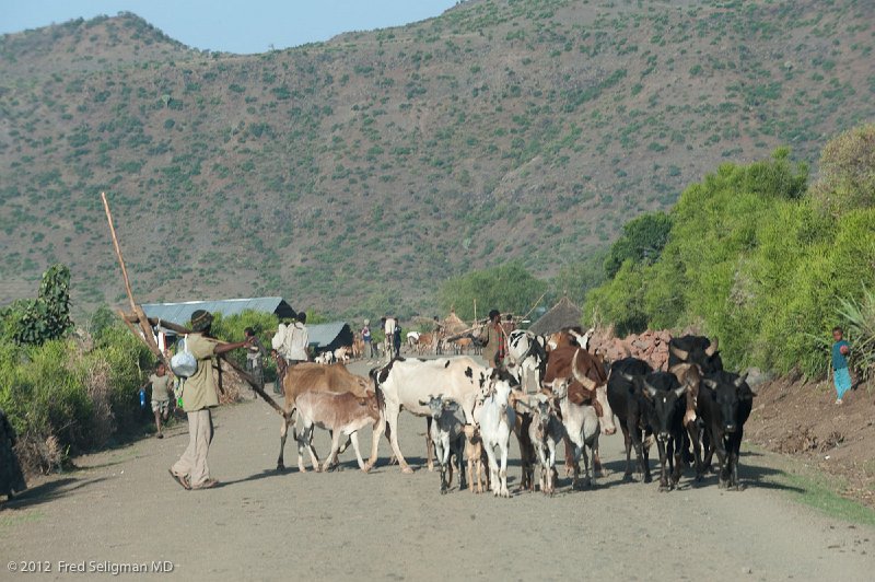 20120403_073417 Nikon D3 2x3.jpg - View from car window